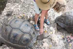 Zanzibar: Baraka Aquarium Zeeschildpadden & Nungwi Kilosa Zoo