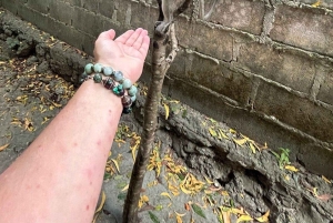 Zanzibar: Baraka Aquarium Zeeschildpadden & Nungwi Kilosa Zoo