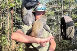 Zanzibar: Baraka Aquarium Zeeschildpadden & Nungwi Kilosa Zoo