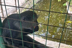 Zanzibar: Baraka Aquarium Zeeschildpadden & Nungwi Kilosa Zoo