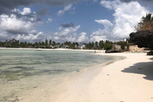 Zanzibar: Bat Watching and Tortoise Feeding Tour