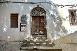 Zanzibar: Bat Watching and Tortoise Feeding Tour