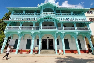 Zanzibar: Bat Watching and Tortoise Feeding Tour