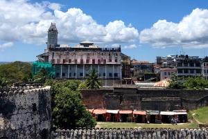 Zanzibar: Bat Watching and Tortoise Feeding Tour