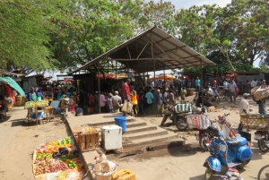 Zanzibar: Bat Watching and Tortoise Feeding Tour
