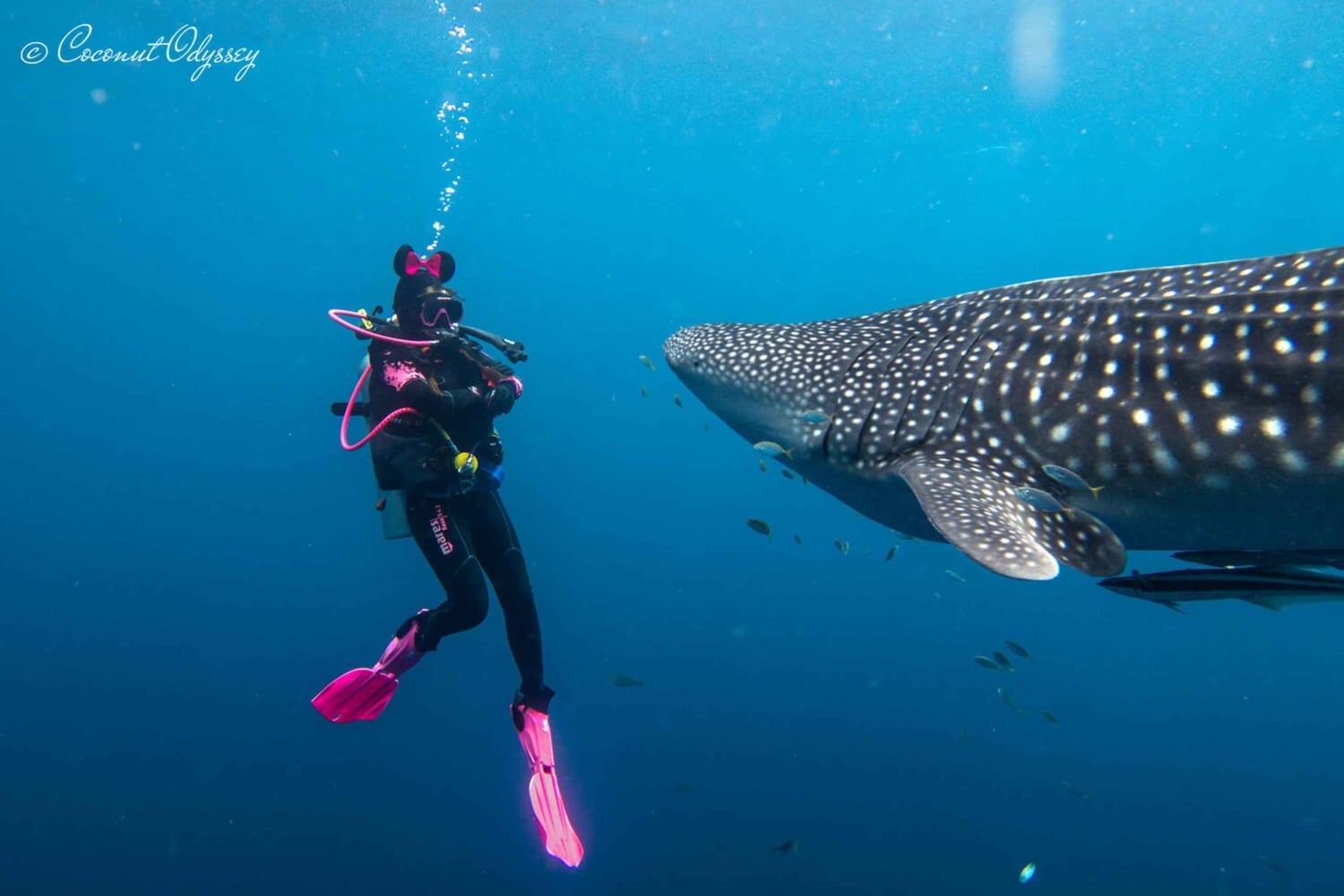 Zanzibar Bawe Island Snorkeling Day Trip with Lunch