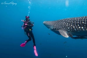 Zanzibar Bawe Island Snorkling dagstur med lunsj
