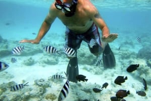 Zanzibar Bawe Island Snorkeling Day Trip with Lunch