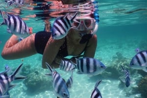 ZANZIBAR : PLONGÉE EN APNÉE SUR L'ÎLE DE BAWE