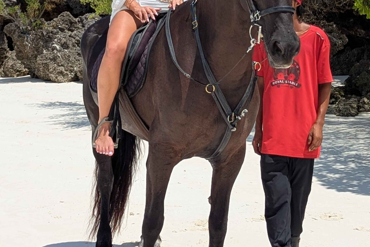 Zanzibar: passeio a cavalo na praia em Jambiani com recolha no hotel