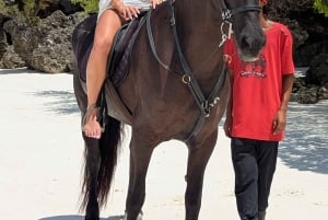 Zanzibar: passeio a cavalo na praia em Jambiani com recolha no hotel