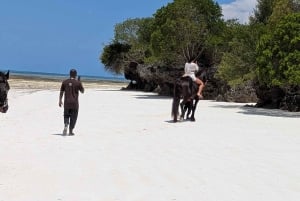 Zanzibar: passeio a cavalo na praia em Jambiani com recolha no hotel