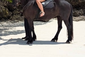 Zanzibar: passeio a cavalo na praia em Jambiani com recolha no hotel