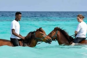 Zanzibar: Beach Horseback Ride and Swim with the Horse
