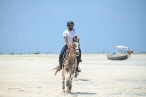 Zanzibar: Beach Horseback Ride and Swim with the Horse