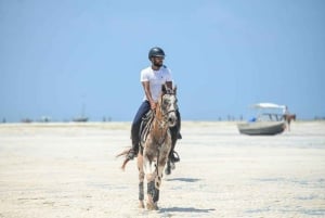 Zanzibar: Beach Horseback Ride and Swim with the Horse