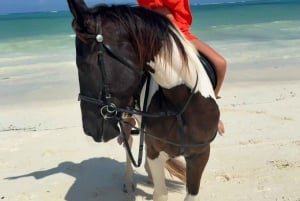 Zanzibar: Beach Horseback Ride and Swim with the Horse