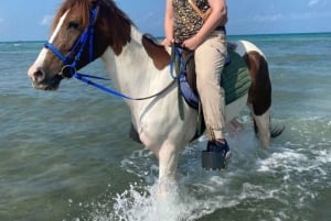 Zanzibar: Beach Horseback Ride and Swim with the Horse
