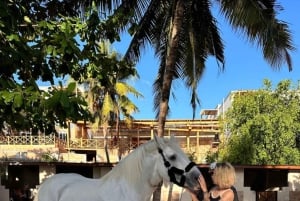 Zanzibar: Beach Horseback Ride and Swim with the Horse