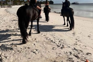 Zanzibar: Beach Horseback Ride and Swim with the Horse