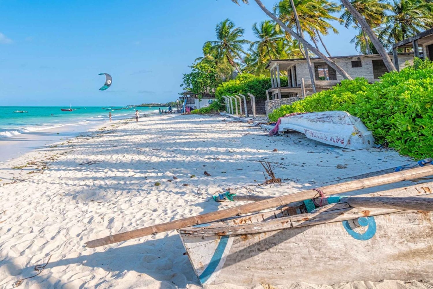 Лучшее на Занзибаре: остров Мнемба, лес Джозани и бабочки