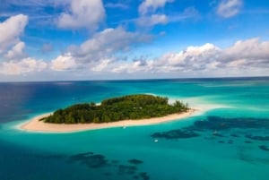 Лучшее на Занзибаре: остров Мнемба, лес Джозани и бабочки