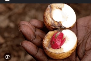 Zanzibar: paikallinen ruoanlaittokurssi ja maustefarmikierros