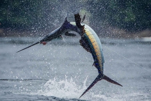 ZANZIBAR BIG FISHING