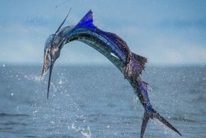 ZANZIBAR BIG FISHING