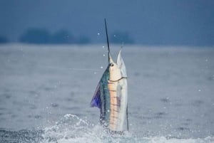 ZANZIBAR BIG FISHING