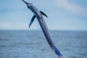ZANZIBAR BIG FISHING