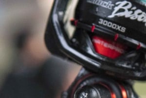 GROOT VISSEN IN ZANZIBAR