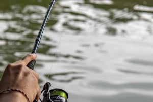 GROOT VISSEN IN ZANZIBAR
