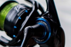 GROOT VISSEN IN ZANZIBAR