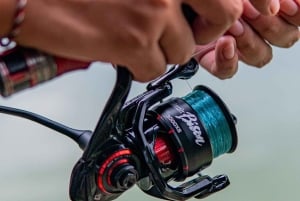 GROOT VISSEN IN ZANZIBAR