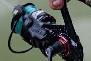 GROOT VISSEN IN ZANZIBAR