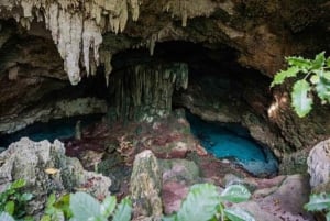 Zanzibar : visite à pied de Stone Town avec shopping et Urojo