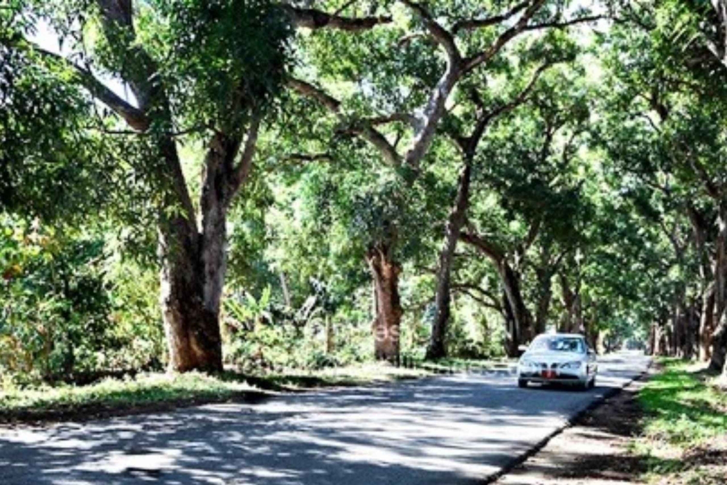 Zanzibar: Bihole-ruinerne, Bungi Beach og mangotræs-tur