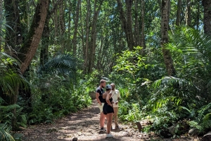 Zanzibar: Bird Watching Tour with Guide and Binoculars