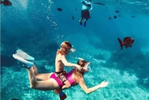 SANGIUBAR: Blaue Lagune, Jozani-Wald, Meeresschildkröten & The Rock