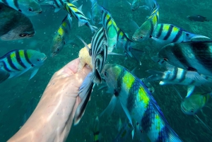 Zanzibar: Lagoa Azul, Restaurante de Pedra, Caverna e Viagem à Praia