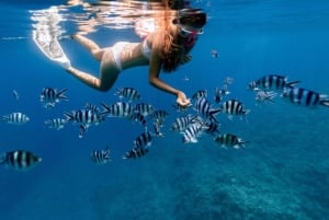 ザンジバル：ブルーラグーン、ヒトデ、シュノーケリング日帰りツアー