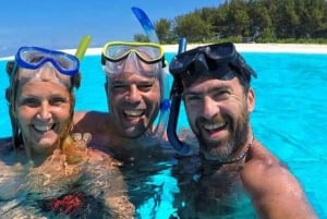 ザンジバル：ブルーラグーン、ヒトデ、シュノーケリング日帰りツアー