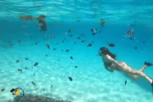 Zanzibar: Blue Lagoon snorkelen en zeesterrenparadijs-tour