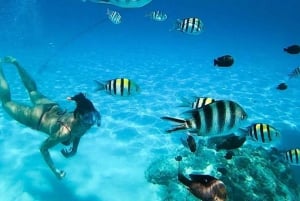 Zanzibar: Blue Lagoon snorkelen en zeesterrenparadijs-tour
