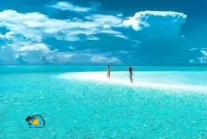 Zanzibar: Blue Lagoon snorkelen en zeesterrenparadijs-tour