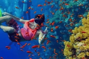 Zanzibar: Blue Lagoon snorkelen en zeesterrenparadijs-tour