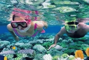 Zanzibar: Blue Lagoon snorkelen en zeesterrenparadijs-tour
