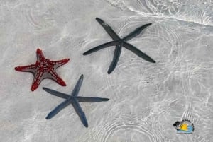 Zanzibar: Blue Lagoon snorkelen en zeesterrenparadijs-tour