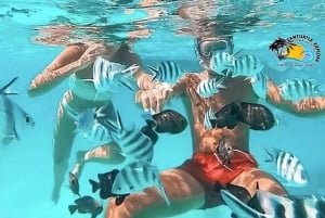 Zanzibar: Blue Lagoon snorkelen en zeesterrenparadijs-tour